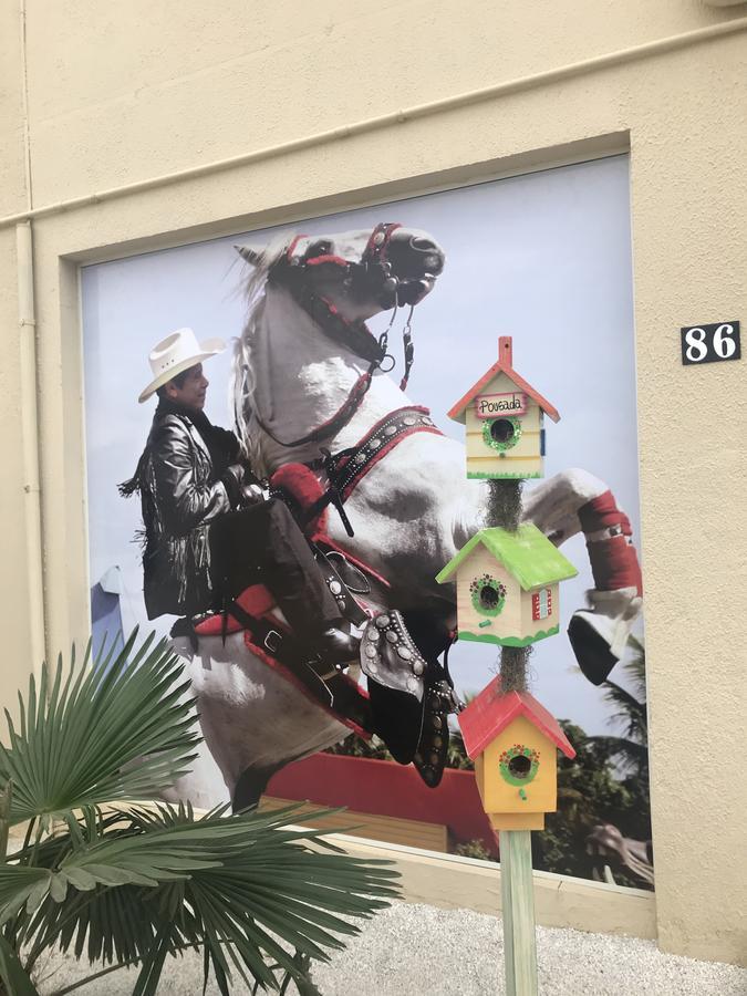 Pousada Recanto Do Cowboy Penha  Dış mekan fotoğraf